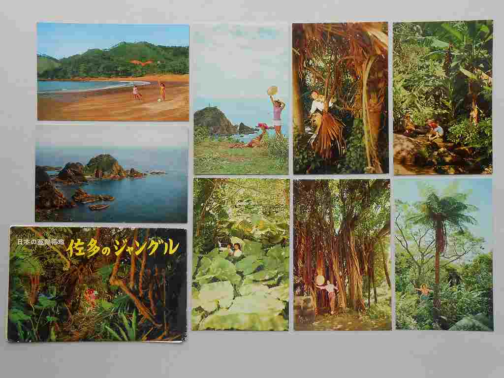 【絵葉書】鹿児島　佐多のジャングル