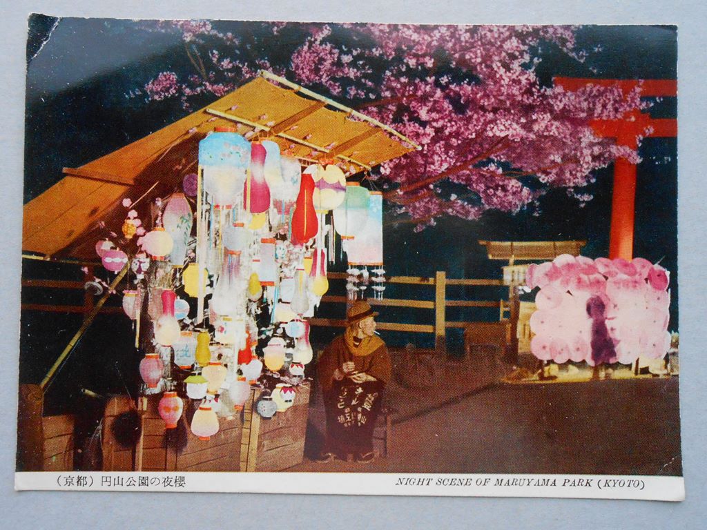 【絵葉書】京都・円山公園の夜桜
